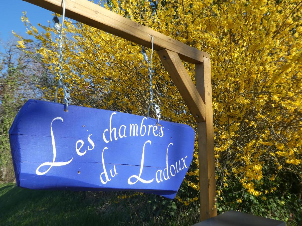 Les Chambres Du Ladoux Sencenac-Puy-de-Fourches Luaran gambar